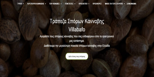 SEO υπηρεσίες Ιστοσελίδας Villabafo