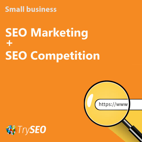 SEO Marketing Research and SEO Competition Research Services for Small Businesses