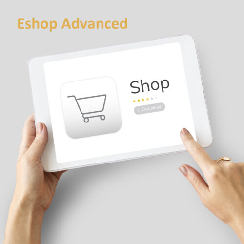 Κατασκευή Eshop Advanced με Wordpress ή Opencart