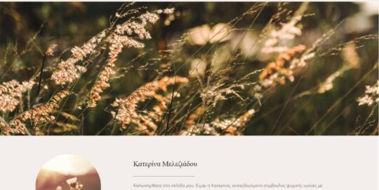 Κατασκευή ιστοσελίδας Wordpress για σύμβουλο ψυχικής υγείας